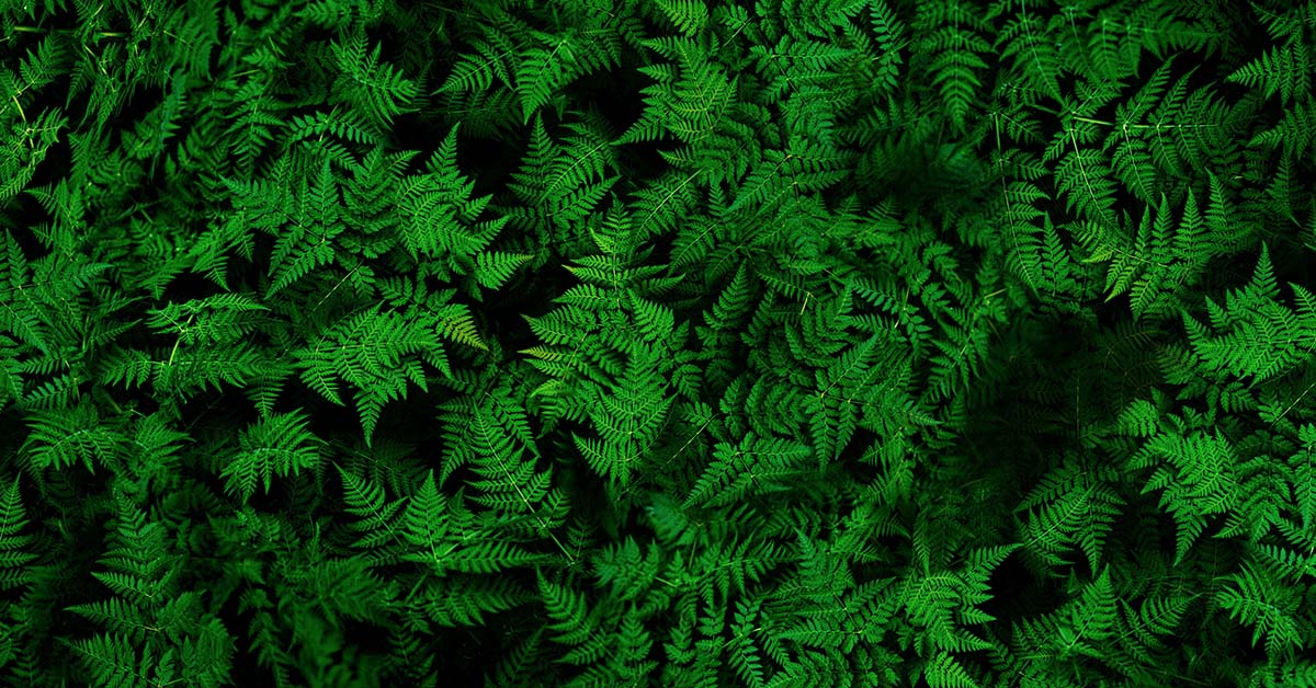 1285 AdobeStock 315285619