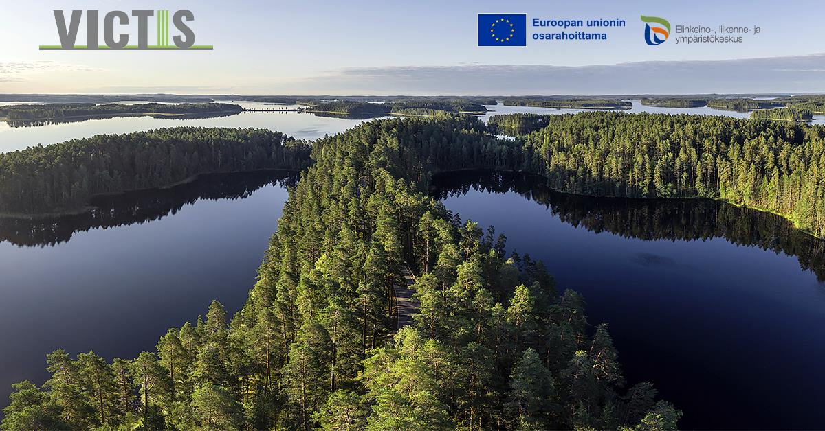 1368 jarvi ja metsa 2 1200x628