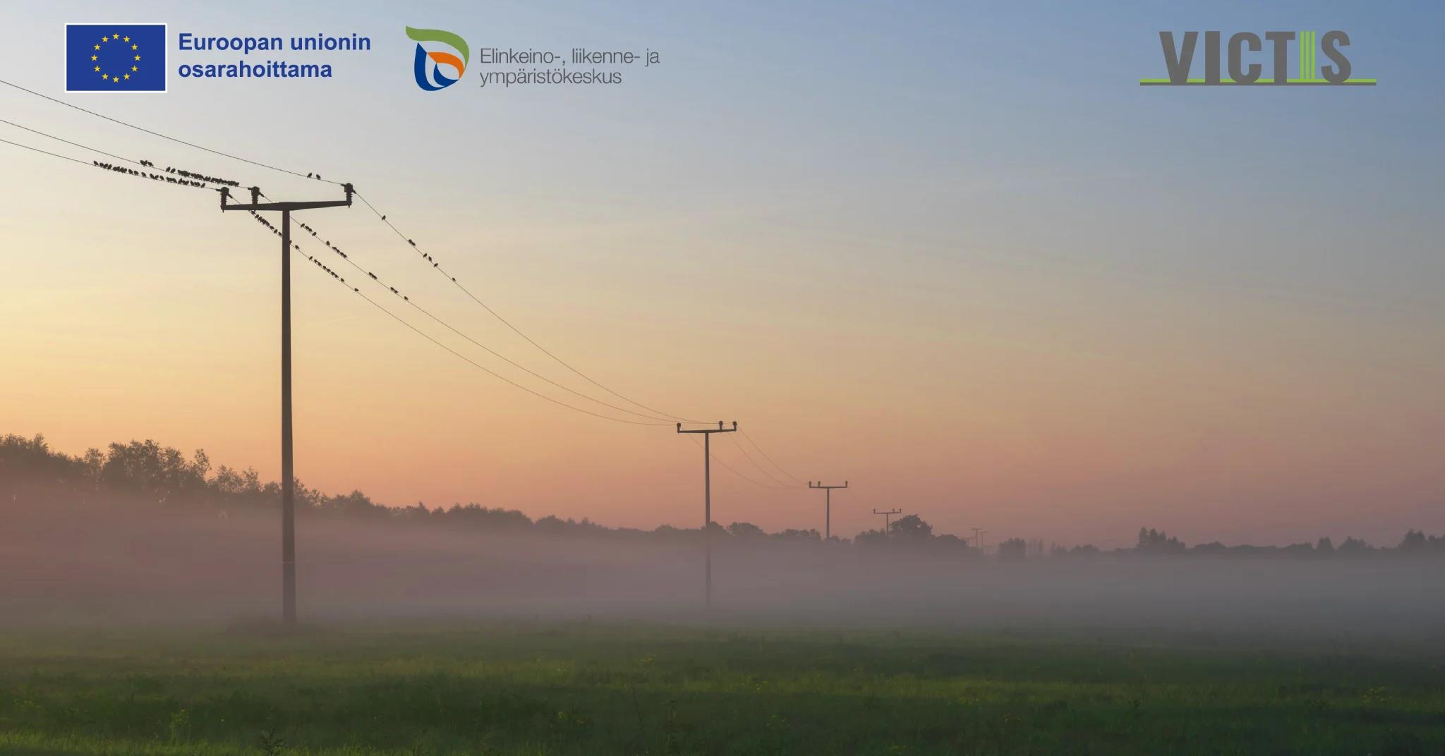 1738 puumastokuva logo 1200x628 2048x1072