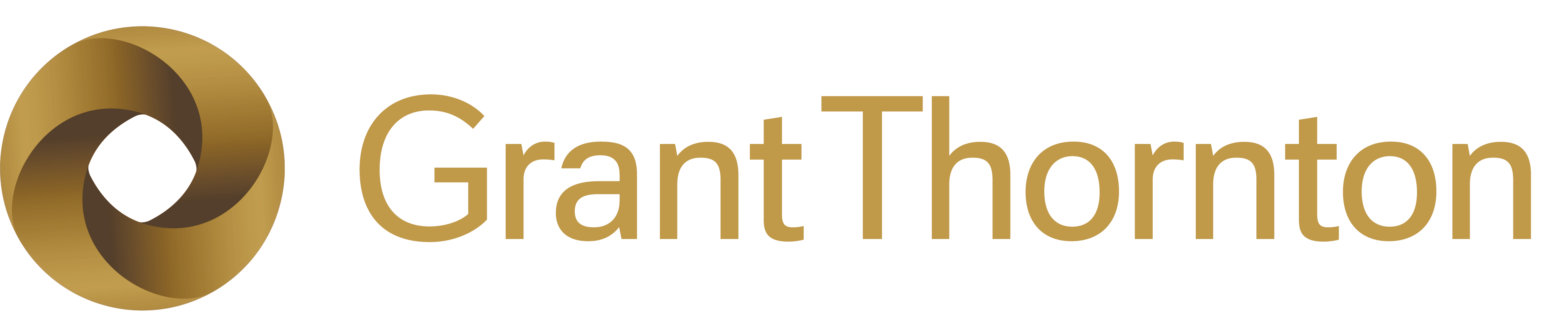 4911 GTlogo primary ny