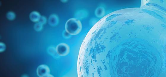 315 soluja tummennettu 560 Apsis