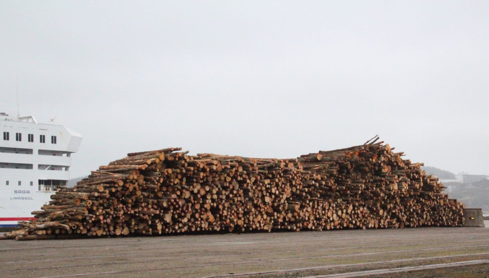 Fuel wood at Sörvik