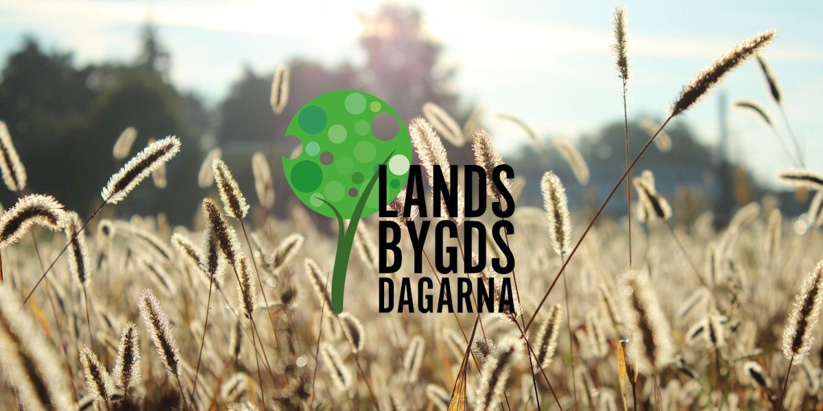 3843 landsbygdsdagarna