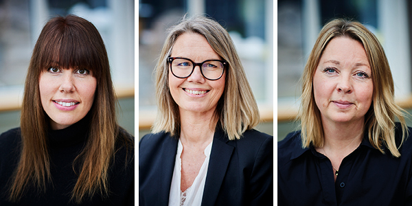 2594 Kollage nyhetsbrev kollegor