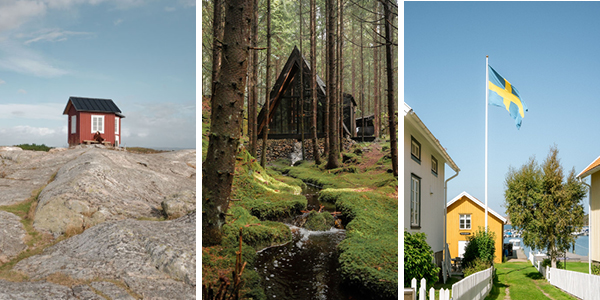 2690 Kollage nyhetsbrev Daymaker