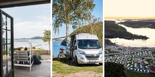 2991 Kollage nyhetsbrev camping