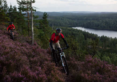 706 Dalsland Mtb  Photo Cred Roger Borgelid (3)