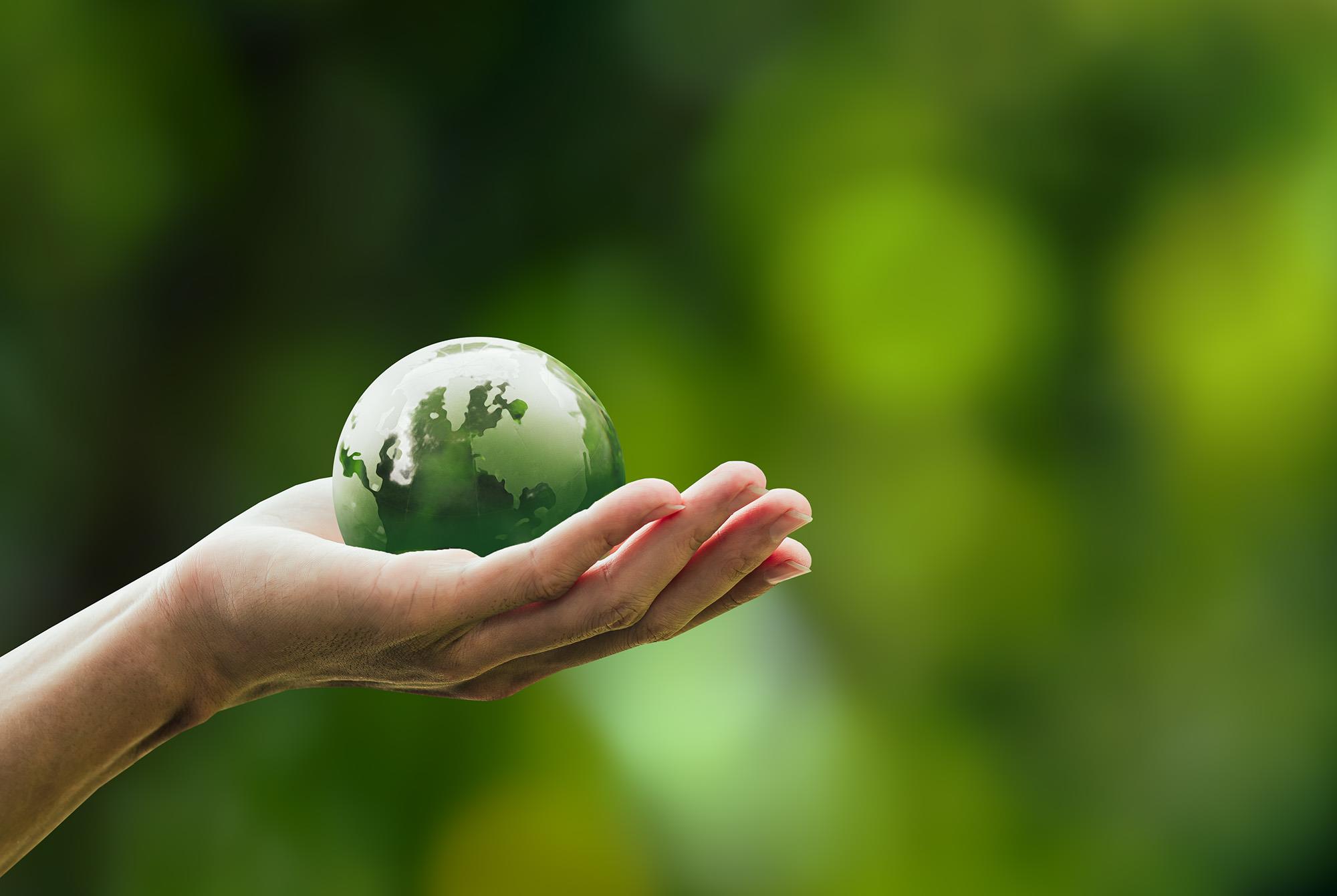 Två kvinnor sitter i soffa och tittar gemensamt i en mobil