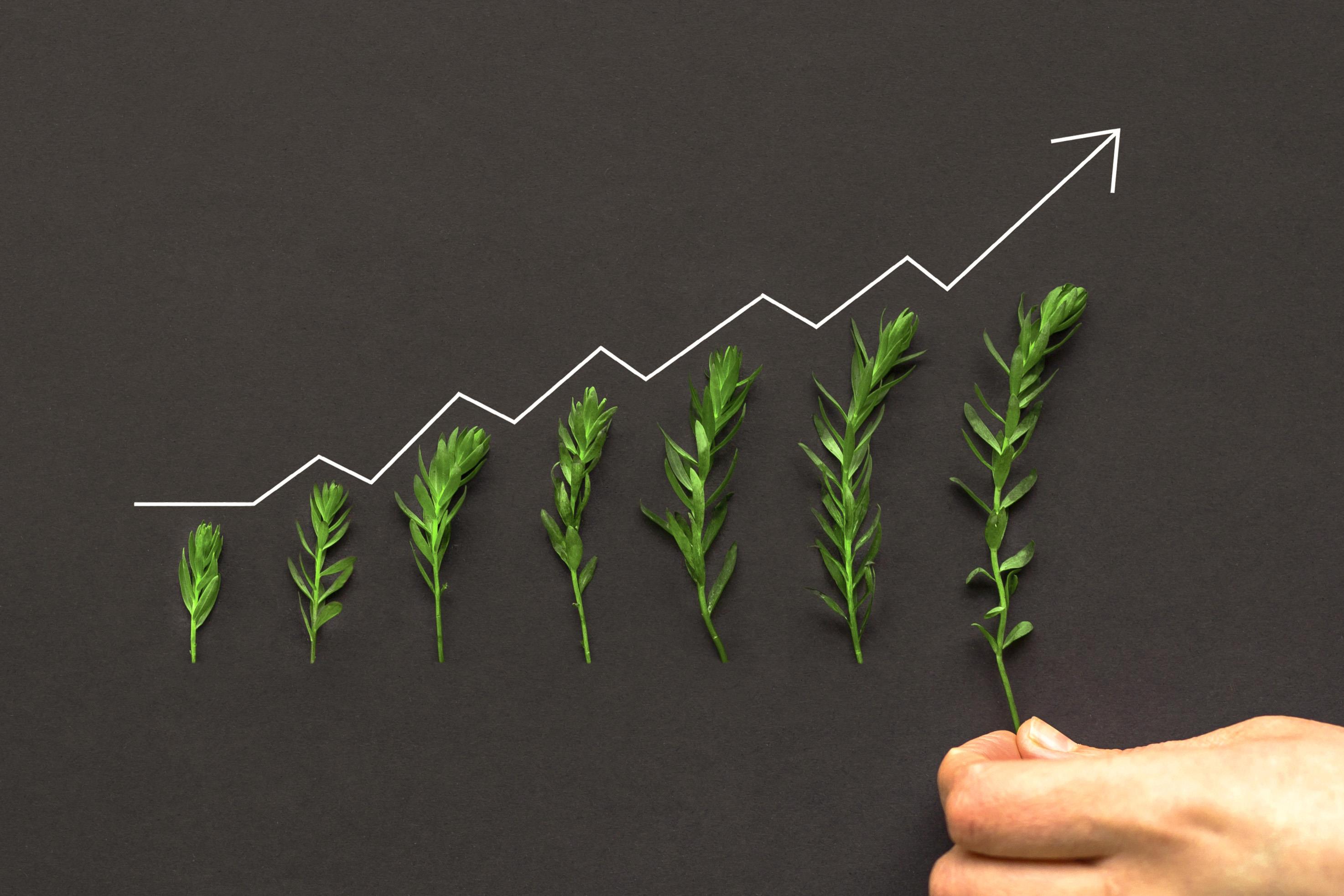 Uppåtgående kritvit pil på svart tavla med gröna kvistar i ökande storlek under.
