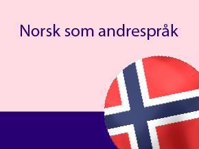 13112 banner Norsk som andresprak