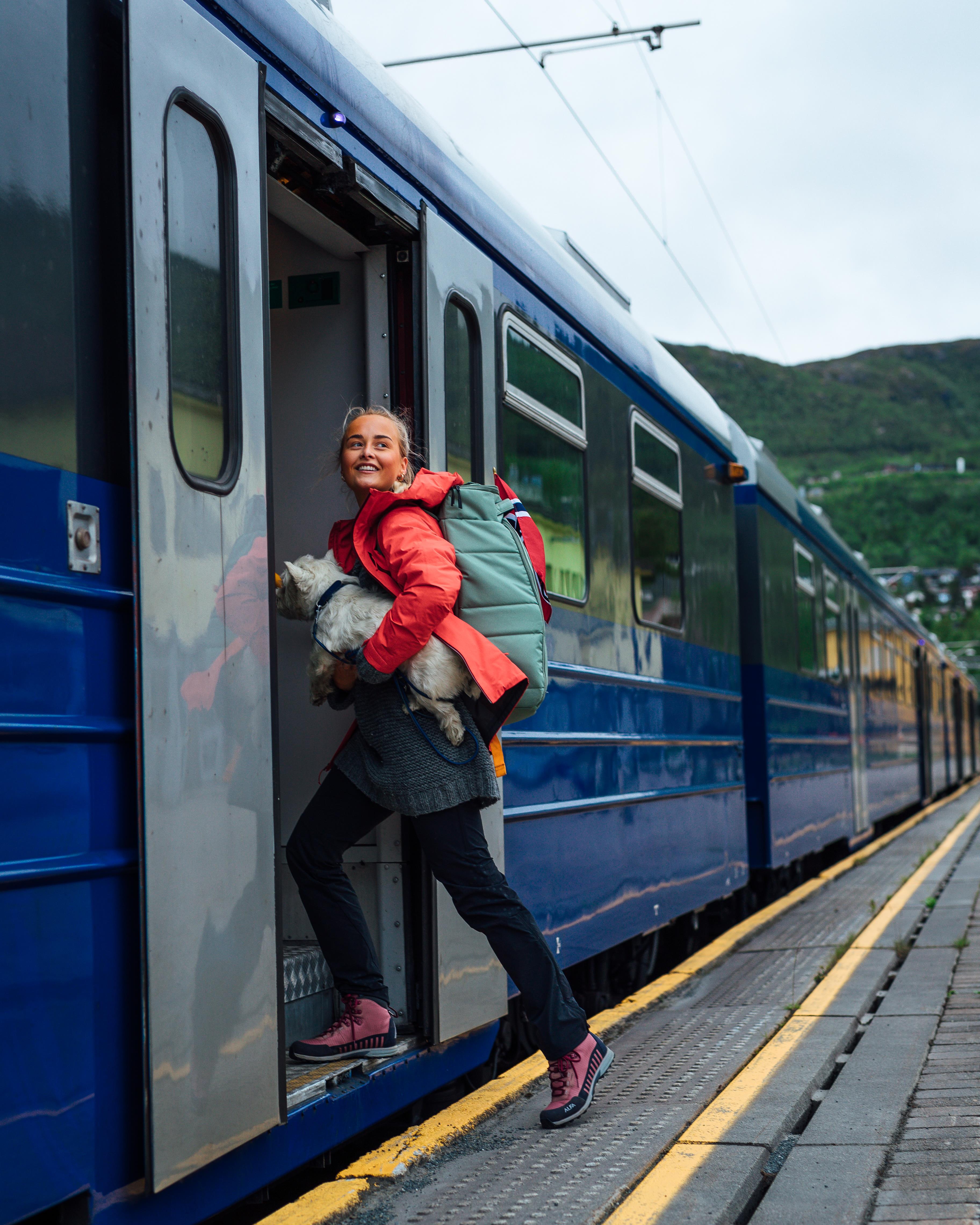 828 20210615 Summer Arctictrain Travel Nature Dog1