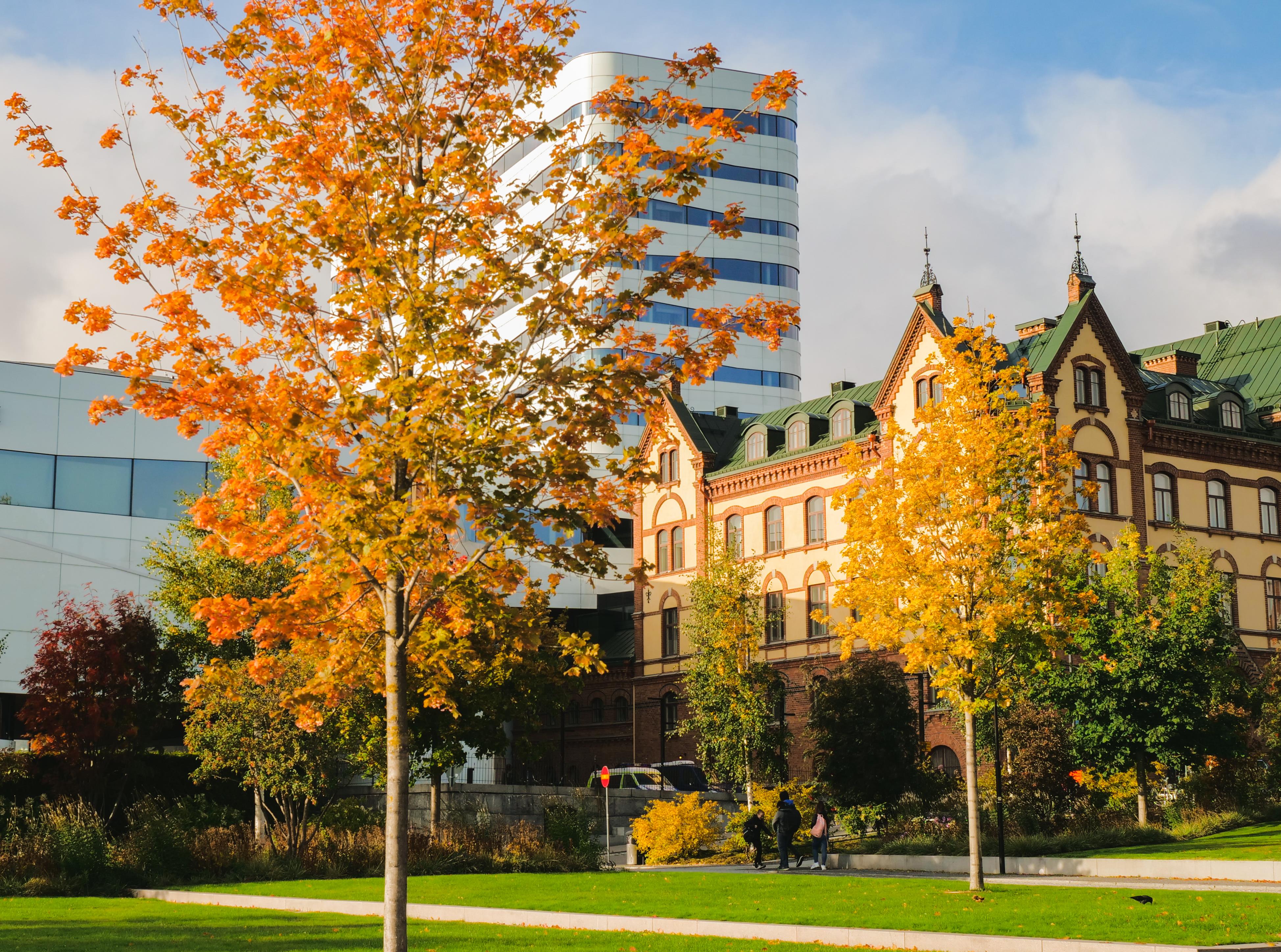 592 Ume%c3%a5 h%c3%b6st Philip 02