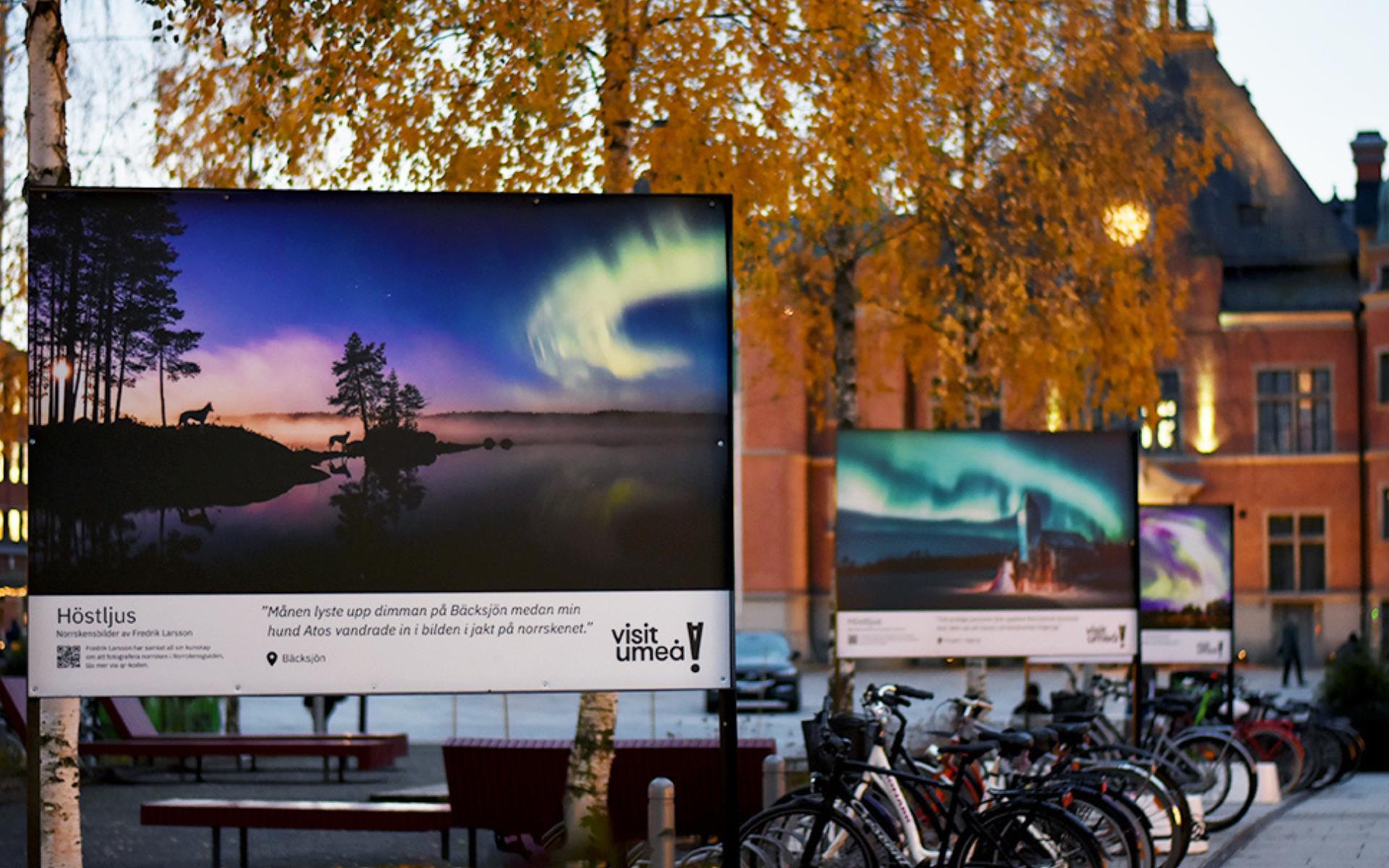 617 Nul%c3%a4ges cover till webb (5)