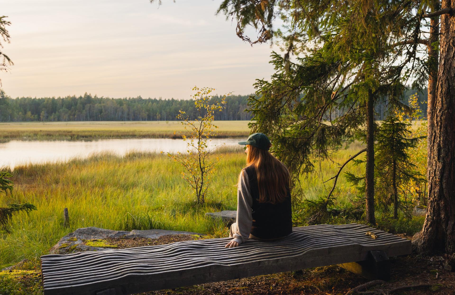 758 Nul%c3%a4ges cover till webb (1920 x 1400 px) (1920 x 1300 px)