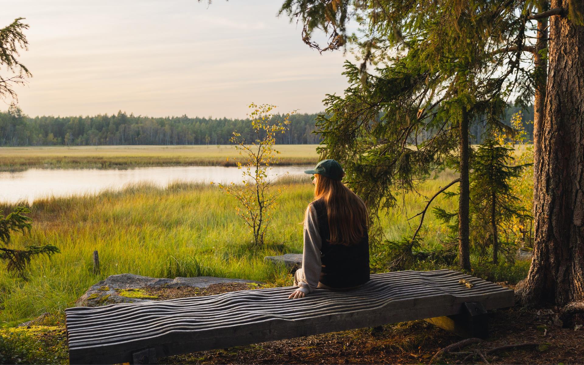 798 Nul%c3%a4ges cover till webb (4)